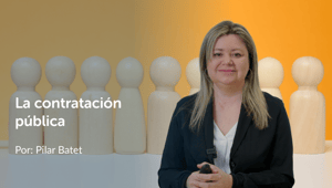 Pilar Batet - Web